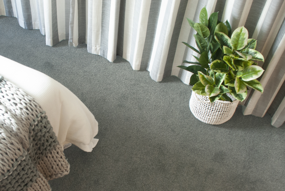 wall of carpet selections